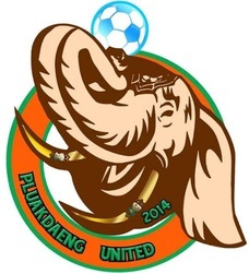 Pluakdaeng Rayong United